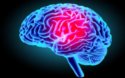 10-idees-recues-sur-le-cerveau-8211-12-05-2025-8211-Aix-en-Provence_2436650
