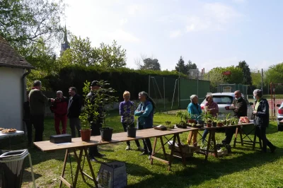 12eme-Troc-plantes-8211-03-05-2026-8211-Saint-Florent_3350598