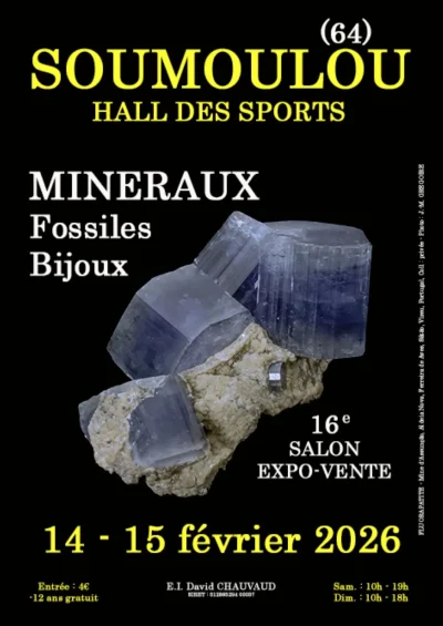 16eme-Salon-des-mineraux-fossiles-et-bijoux-8211-15-02-2026-8211-Soumoulou_3373095