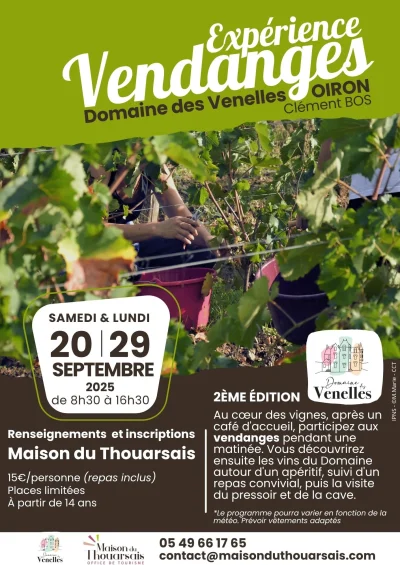 2-Experience-vendanges-8211-29-09-2025-8211-Plaine-et-Vallees_2982156
