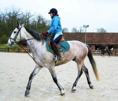 2-journee-au-Centre-equestre-du-Robillard-8211-Saint-Pierre-en-Auge_2139514