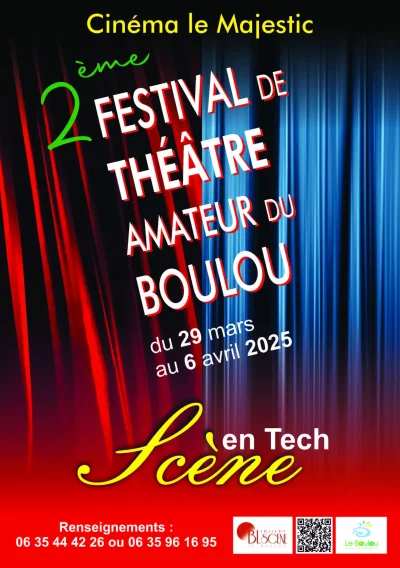 2E-FESTIVAL-DE-THEATRE-AMATEUR-DU-BOULOU-8211-29-03-2025-8211-Le-Boulou_2145796