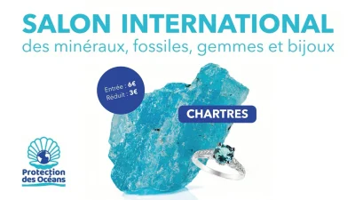 2e-Salon-international-des-Mineraux-Fossiles-Gemmes-et-Bijoux-a-Chartres-8211-10-10-2026-8211-Chartres_3837536
