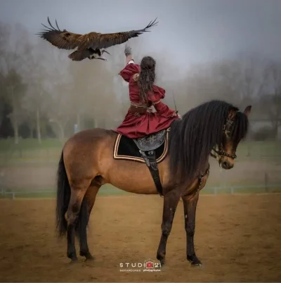 31eme-Fete-du-cheval-8211-06-07-2025-8211-Vailly-sur-Sauldre_2215530