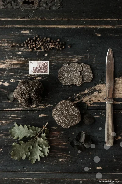3eme-Marche-prime-aux-truffes-8211-23-12-2025-8211-Meyssac_3165672