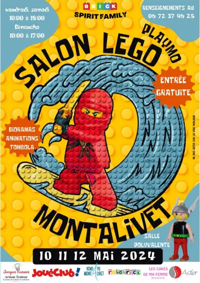 5eme-Salon-LEGO-8211-Diaporamas-animations-tombola-8211-30-05-2025-8211-Vendays-Montalivet_2542564