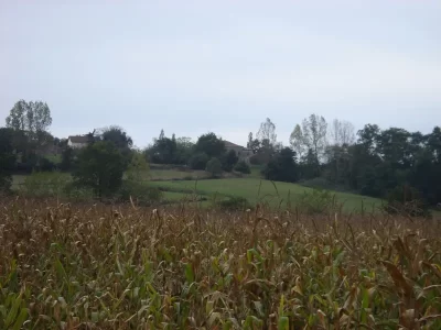 A-Brassempouy-circuit-des-landes-de-Herreres_1070003