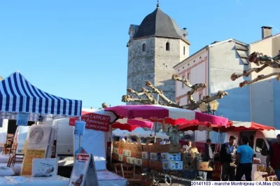A-LA-DECOUVERTE-DE-LA-BASTIDE-ROYALE-8211-ENFANTS-8211-Montrejeau_3523894