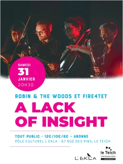A-Lack-of-Insight.-8211-31-01-2026-8211-Le-Teich_3412578