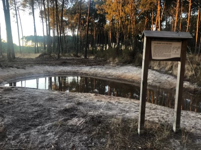 A-Vieux-Boucau-sentier-decouverte-La-mare-aux-biches_1034415