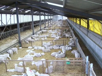 A-la-Ferme-du-Lion-d039or-maison-avec-jardin-dans-les-Cretes-Preardennaises-vente-produits-de-la-ferme_1185493