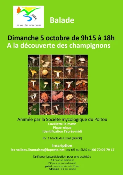A-la-decouverte-des-champignons-8211-05-10-2025-8211-Lizant_3125385