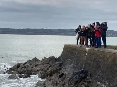 A-la-decouverte-des-oiseaux-de-la-Hougue-8211-27-12-2025-8211-Saint-Vaast-la-Hougue_3320947