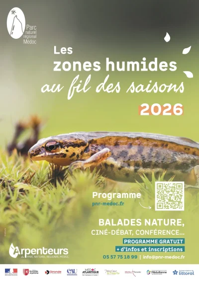 A-la-decouverte-des-oiseaux-migrateurs-et-de-leurs-proies-8211-11-02-2026-8211-Ludon-Medoc_3466464
