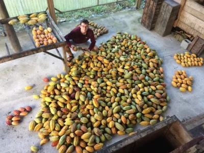 A-la-decouverte-du-cacao-et-du-chocolat-8211-10-09-2025-8211-Seignosse_2897473