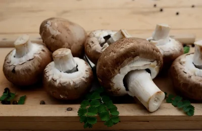 A-la-recherche-des-champignons-8211-18-10-2025-8211-Lussat_2120962