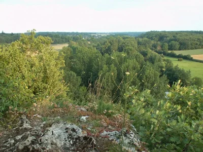 A-la-recherche-du-tresor-d039Halloween-au-Bois-des-Roches-8211-22-10-2025-8211-Pouligny-Saint-Pierre_2584819
