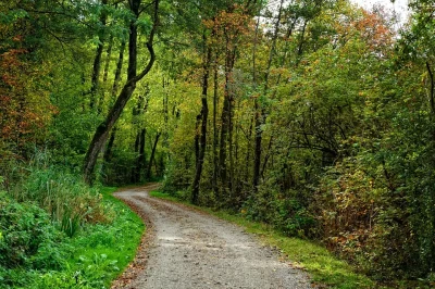 A-la-rencontre-de-la-Foret-de-Navarrenx-puis-Mirasou-8211-20-08-2026-8211-Navarrenx_3787742