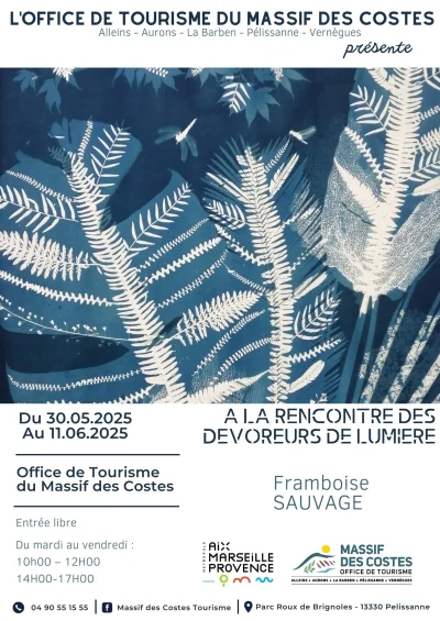 A-la-rencontre-des-devoreurs-de-lumiere-exposition-photographique-de-Framboise-Sauvage-8211-30-05-2025-8211-Pelissanne_2470789