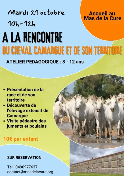 A-la-rencontre-du-cheval-Camargue-et-de-son-territoire-8211-21-10-2025-8211-Saintes-Maries-de-la-Mer_3119112