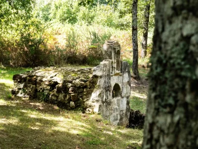 A-pas-perdus-sur-les-rives-de-la-Leyre-8211-14-05-2026-8211-Le-Teich_3587403