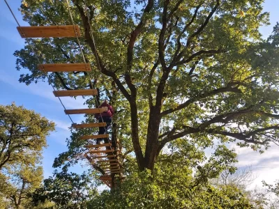 ACCROBRANCHE-LA-CANOPEE-DENTELEE_704368