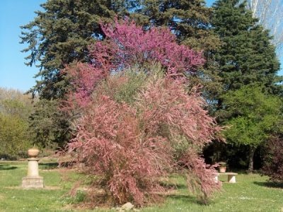 AIRE-DE-STATIONNEMENT-POUR-CAMPING-CARS-8211-DOMAINE-LES-CASCALS_37715
