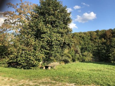 AIRE-DE-STATIONNEMENT_28327