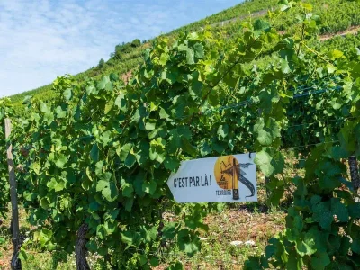 ALSACE-ROCKS-La-Tournee-des-Terroirs-8211-Etape-4-8211-22-06-2025-8211-Beblenheim_2479607