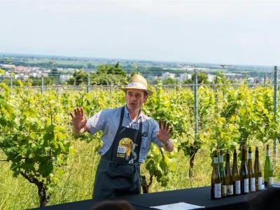 ALSACE-ROCKS-La-Tournee-des-Terroirs-8211-Etape-5-8211-29-06-2025-8211-Hunawihr_2479615