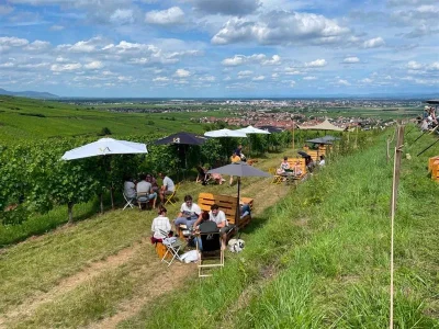 ALSACE-ROCKS-La-Tournee-des-Terroirs-8211-Etape-6-8211-06-07-2025-8211-Bergheim_2479600