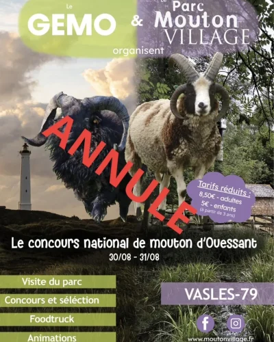 ANNULE-Concours-national-de-mouton-d039Ouessant-8211-30-08-2025-8211-Vasles_3020430