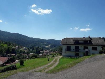 APPARTEMENT-6-PERSONNES-8211-GITE-DE-FAMILLE-DANS-LES-VOSGES_79901