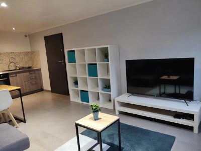 APPARTEMENT-LE-BLUE_82582