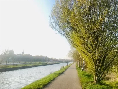 ARBORETUM-LE-LONG-DU-CANAL-DES-VOSGES_306794