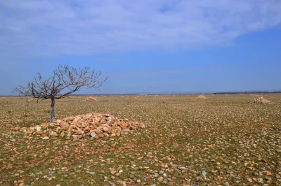 ARLES-8211-De-la-Crau-aux-Marais-du-Vigueirat-a-velo-8211-Arles_2905367