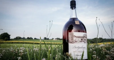 ARMAGNAC-DARTIGALONGUE-ET-FILS-8211-Nogaro_2395565