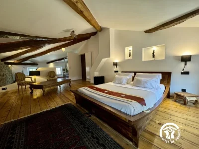 AUX-BERGES-DU-LIBRE-8211-SUITE-THOMPSON-8211-Felines-Termenes_3830284
