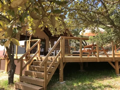 AUX-QUATREFEUILLES-D039OC-8211-MIMOSA-LODGE-8211-8211-Lodeve_3431728