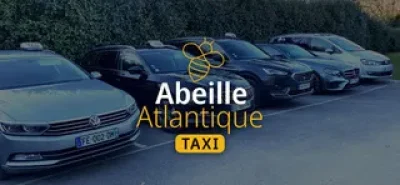 Abeille-Atlantique-Taxi-8211-Soorts-Hossegor_1871286-2