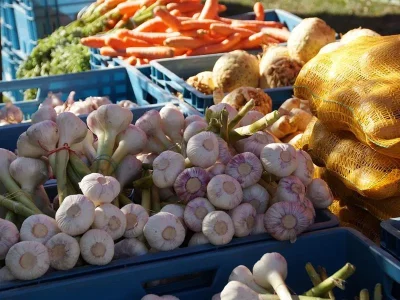 Accueils-touristiques-et-marche-du-terroir-8211-19-07-2026-8211-Fraize_3702200