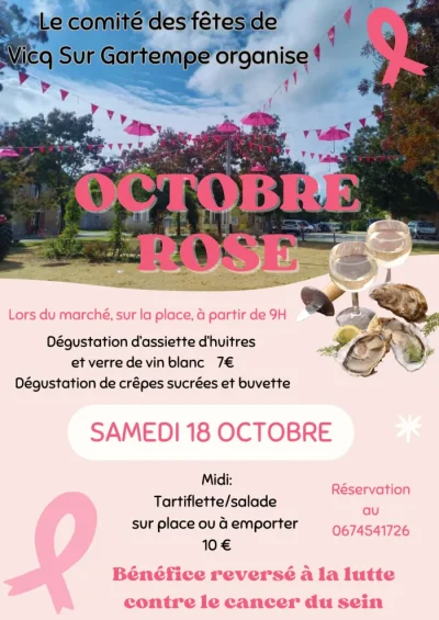 Action-au-profit-d039Octobre-Rose-8211-18-10-2025-8211-Vicq-sur-Gartempe_3144375