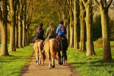 Activites-equestres_410759