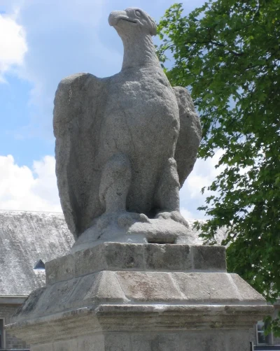 Aigle-romaine-8211-Ussel_2788078