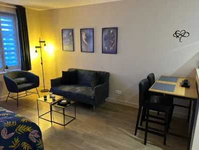Airbnb-de-la-Tour-d039Auvergne-8211-Sedan_3337193