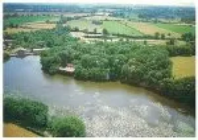 Aire-Naturelle-de-Camping-Bois-Pouvreau-8211-Menigoute_2897163