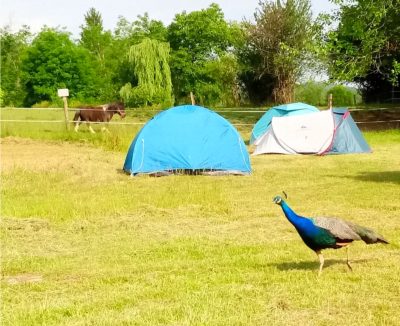 Aire-Naturelle-des-Marnieres_32031