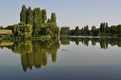Aire-de-Pique-Nique-8211-Etang-de-la-Salle-8211-Saint-Martin-d039Auxigny_3521485