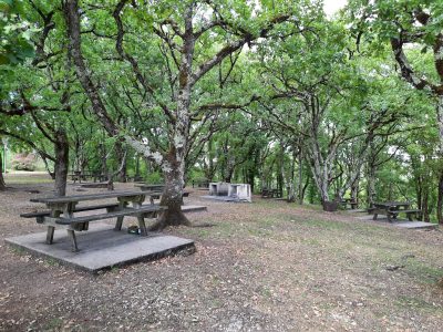 Aire-de-Pique-nique-du-Mont-St-Cyr_31461