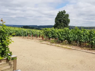Aire-de-Service-Champagne-Daniel-Champion-8211-Bergeres-sous-Montmirail_1291961